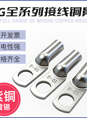 JG铜鼻子10平方/16/25/35/50-8-10-12船用加厚铜线耳接线端子单只
