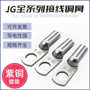 JG铜鼻子10平方/16/25/35/50-8-10-12船用加厚铜线耳接线端子单只