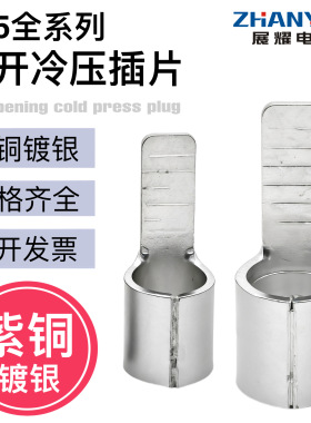 C45紫铜插片DZ47空开插针铜鼻子端头线耳断路器片型冷压接线端子