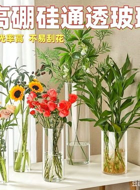 高硼硅玻璃水培花瓶桌面摆件小鱼缸茶杯水杯绿茶杯通用杯子装饰