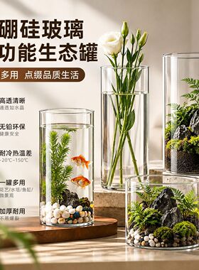 大中小号5.5-30cm高硼硅玻璃水培花瓶桌面摆件小鱼缸通用杯子装饰