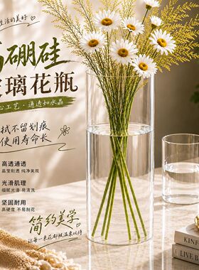 高硼硅玻璃水培花瓶桌面摆件小鱼缸茶杯水杯绿茶杯通用杯子装饰