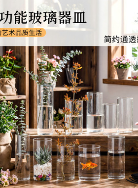 大中小号5.5-30cm高硼硅玻璃水培花瓶桌面摆件小鱼缸通用杯子装饰