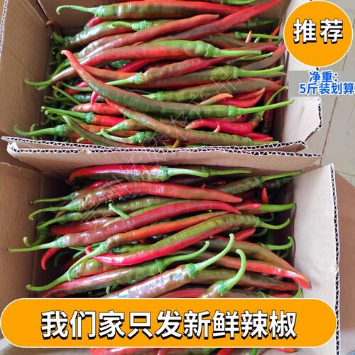 贵州二荆条新鲜现摘半红辣椒泡椒