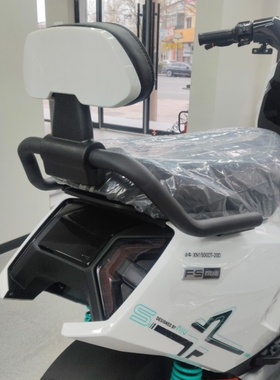 适用FS风速/FSCiti/FSpro/FSplay靠背后扶手电动车靠背Fs改装配件