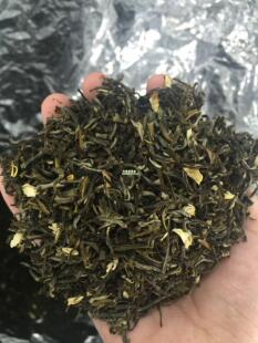 广西横县茉莉花茶叶 茉莉花 春芽 小白毫茉莉花茶500g 特级酒楼用