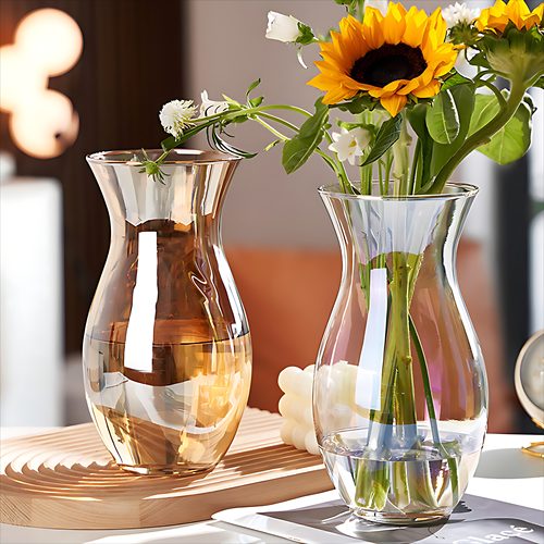 大口径水培富贵竹玻璃花瓶插花器