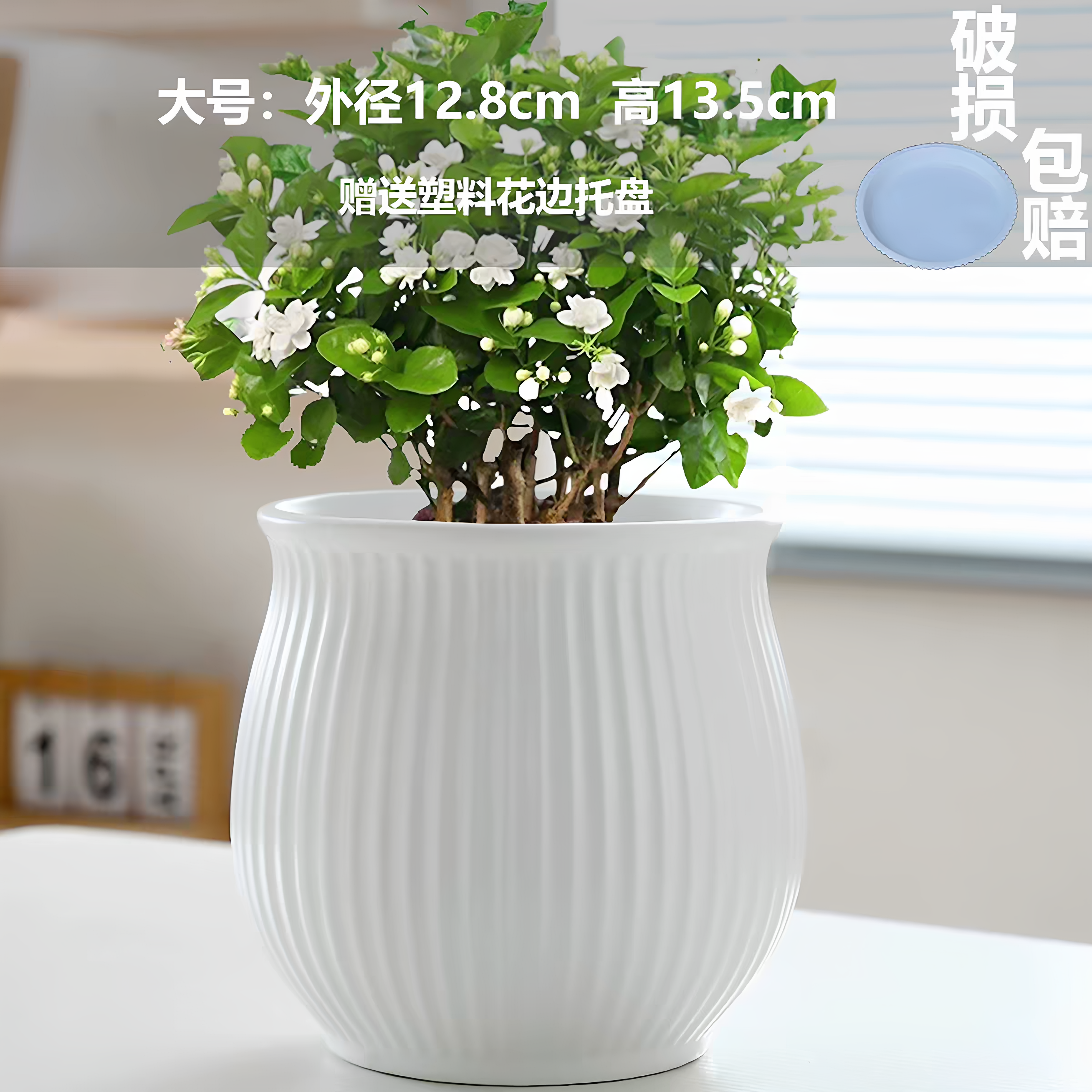 新款陶瓷花盆家用客厅阳台蝴蝶兰带托盘白色简约绿植鲜花吊兰花盆