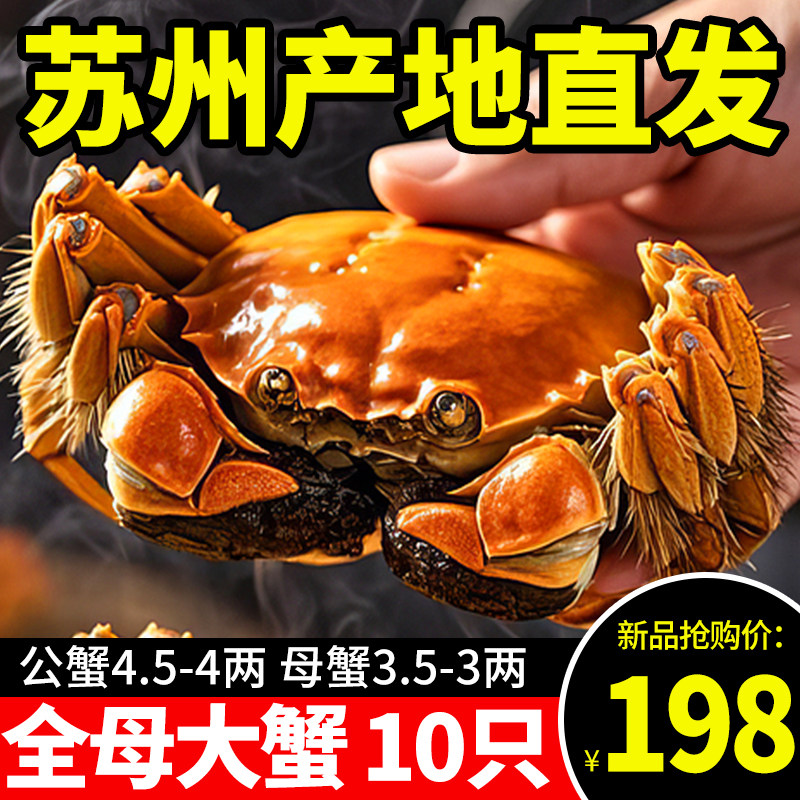 活蟹现货苏州阳澄大闸蟹特大蟹