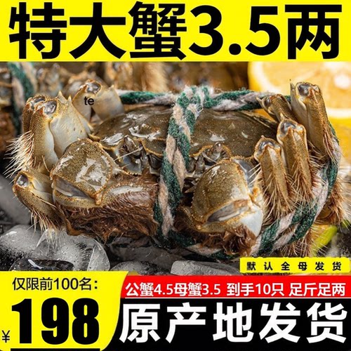 特大大闸蟹鲜活螃蟹全母发货礼盒