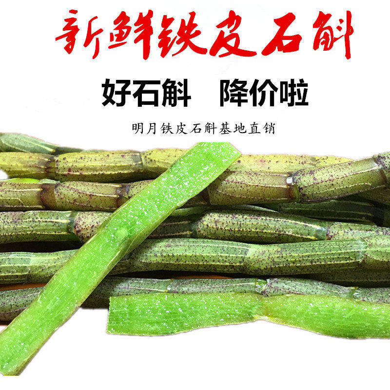 浙江明月有机铁皮石斛鲜条1斤乐清精选食用新鲜生雁荡山枫斗500克
