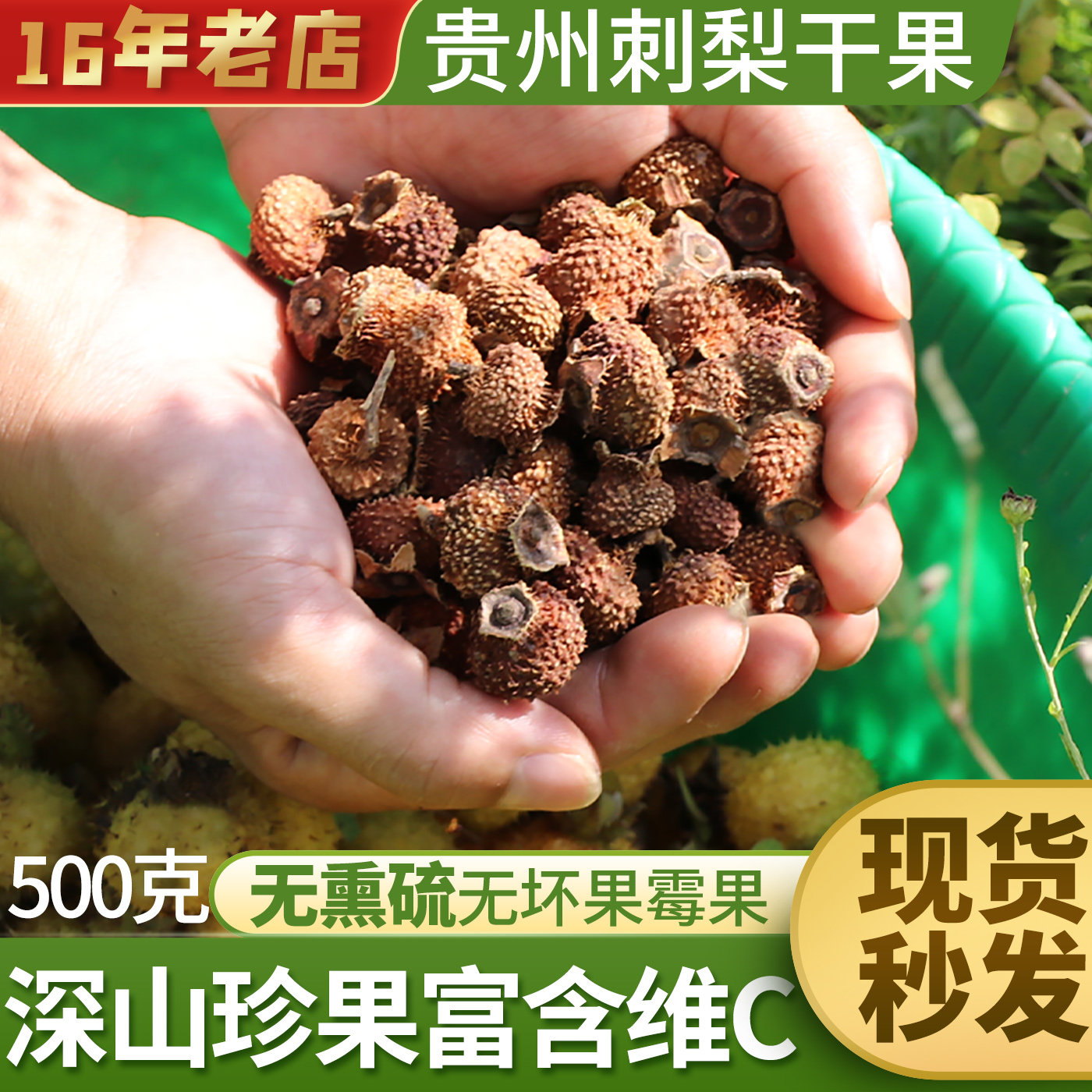 刺梨干果玫瑰白茉莉茶原汁图片