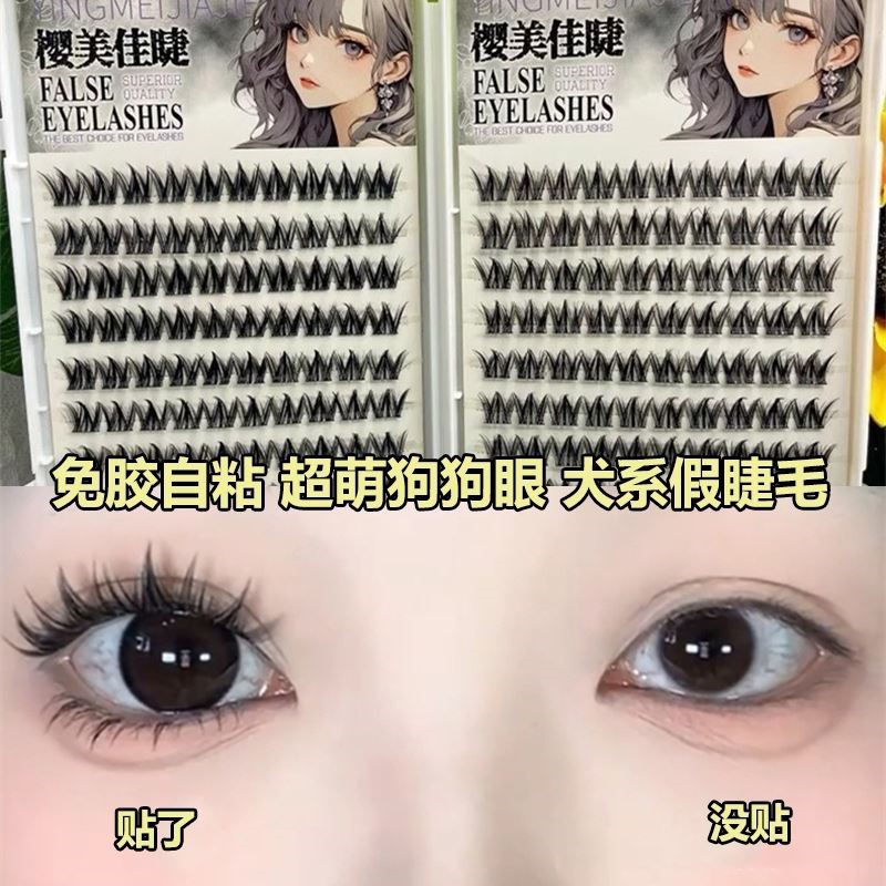 假睫毛免胶免卸自然彷真浓密款漫画 画狗狗圆眼犬系懒人睫毛书初