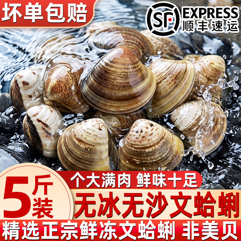 野生无冰速冻无沙大文蛤