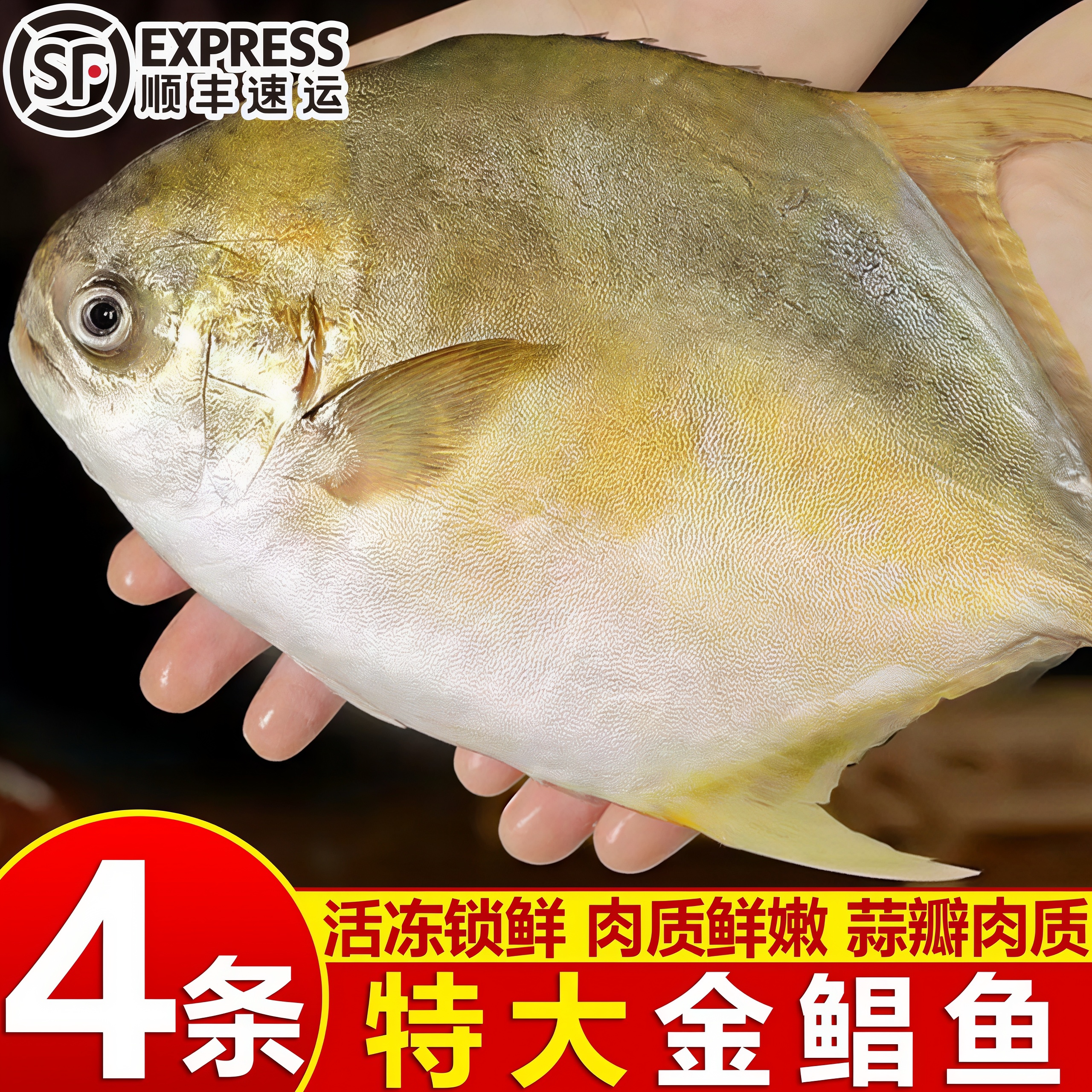 金鲳鱼特大鲜活冷冻海鱼