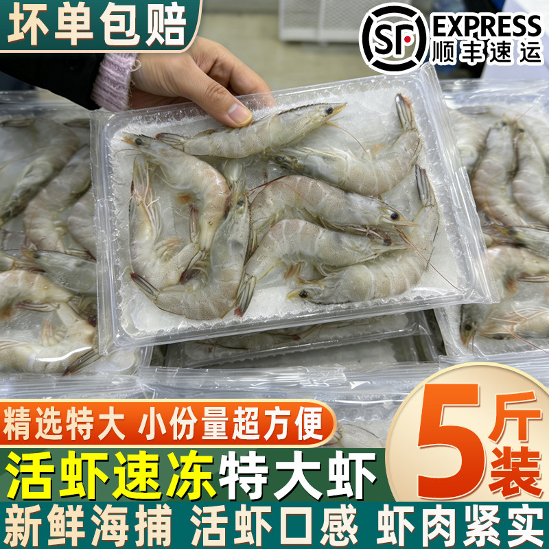 青岛新鲜速冻白对虾盒装