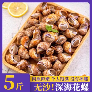 花螺鲜活新鲜特大冷冻香螺海鲜水产大花螺特大号批发商用顺丰