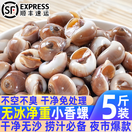 精选小香螺鲜活速冻猫眼螺野生无沙螺肚脐螺扁玉螺海鲜批发水产