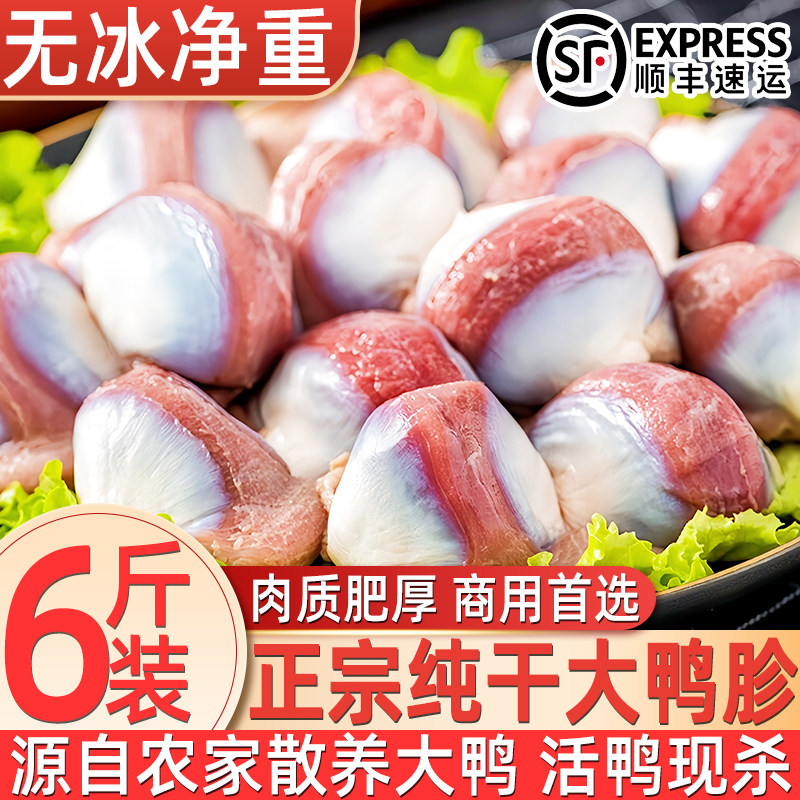 新鲜速冻无冰大号散养鸭胗