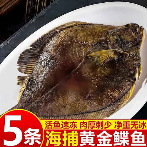 深海现捕鲽鱼海鱼海鲜水产