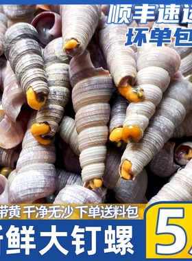 去尾钉螺海鲜水产冰鲜活速冻海螺丝去尾大钉螺捞汁小海鲜商用批发