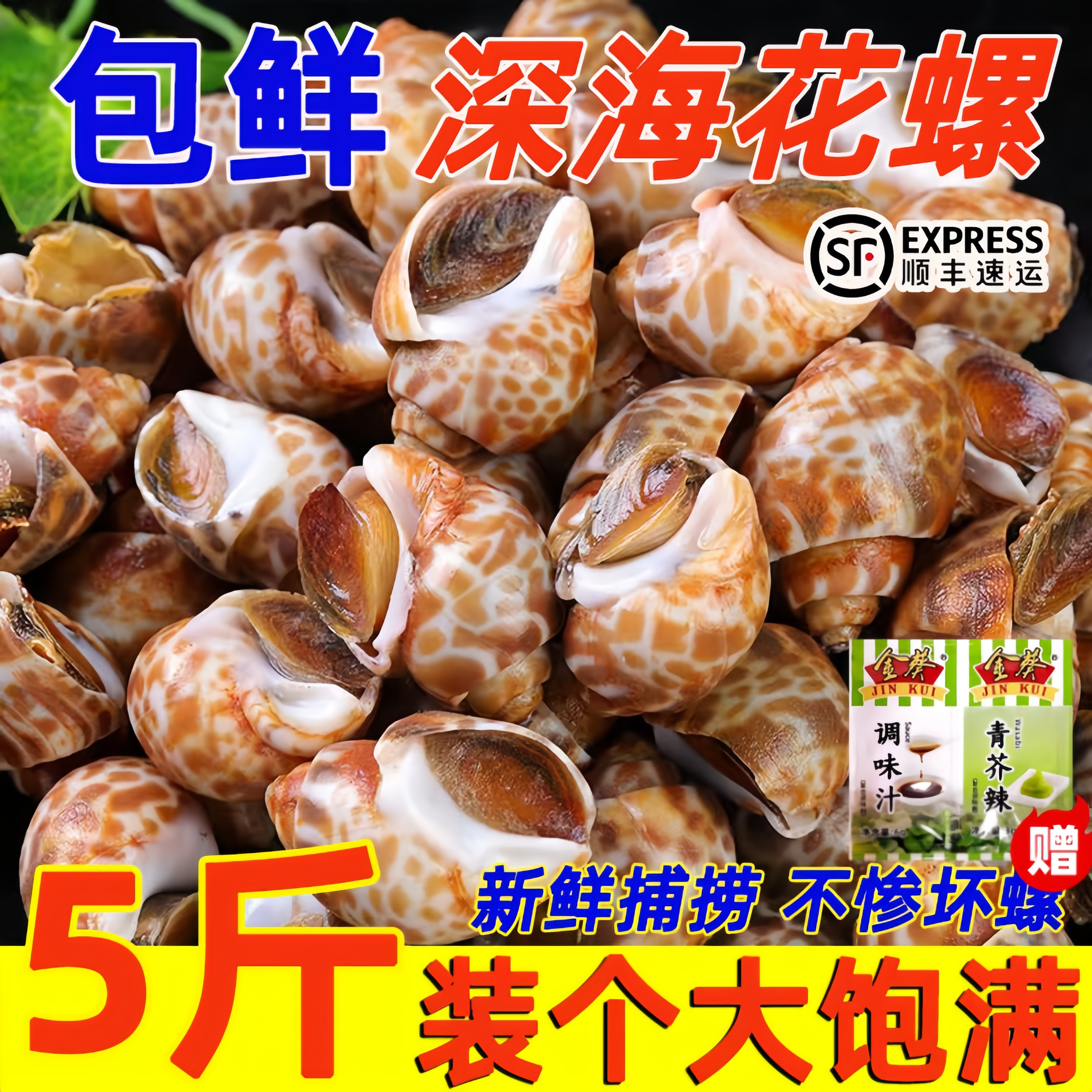 鲜冻花螺新鲜无沙海螺大号海鲜水产鲜活海螺肉冷冻东风螺顺丰包邮