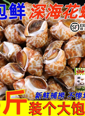 鲜花螺鲜活冷冻大号海螺鲜美肉肥