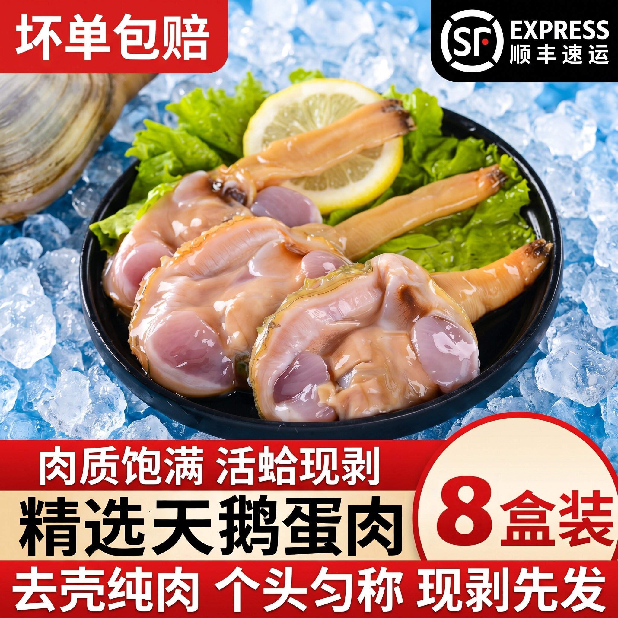 冷冻纯肉天鹅蛋贝类芥末酱油