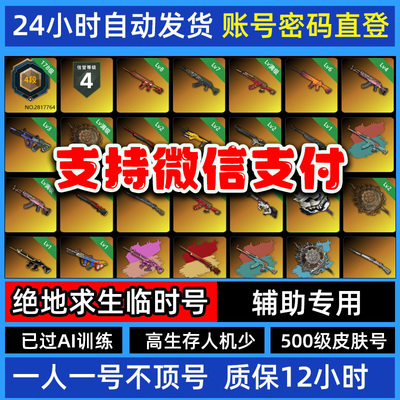 PUBG账号排位号皮肤号租号