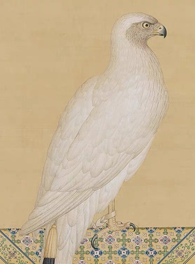 清郎世宁画玉花鹰图高清复制