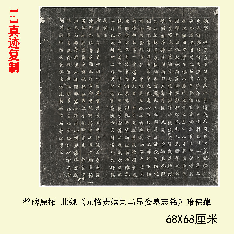 整碑原拓北魏贵嫔司马临摹学习