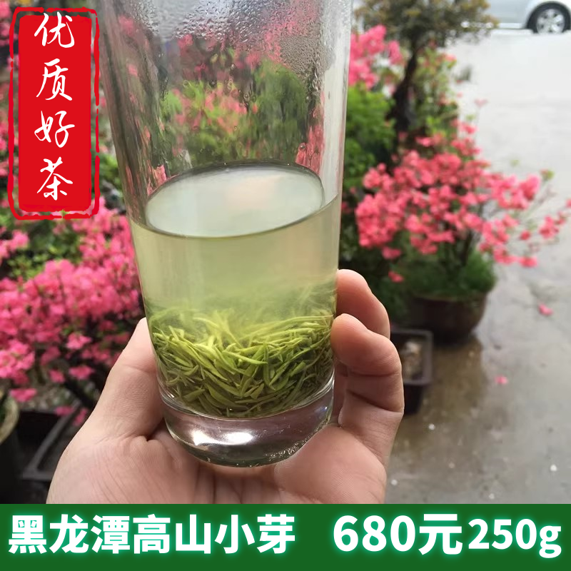 【黑龙潭】高山信阳毛尖2023新茶明前兰花香绿茶自产自销250g