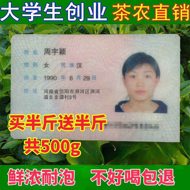 高山绿茶雨前信阳毛尖500g板栗香