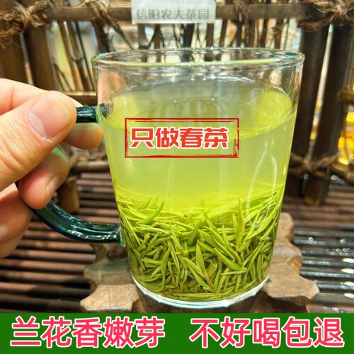 信阳毛尖信阳毛尖绿茶