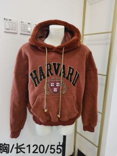 重工印花连帽卫衣女春秋季新款古外套加绒韩版微胖宽松显瘦上衣