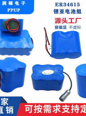 ER34615超声波液位计电燃气表流量计量表物联网定位器19A电池组