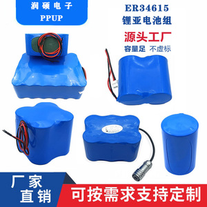 ER34615超声波液位计电燃气表流量计量表物联网定位器19A电池组