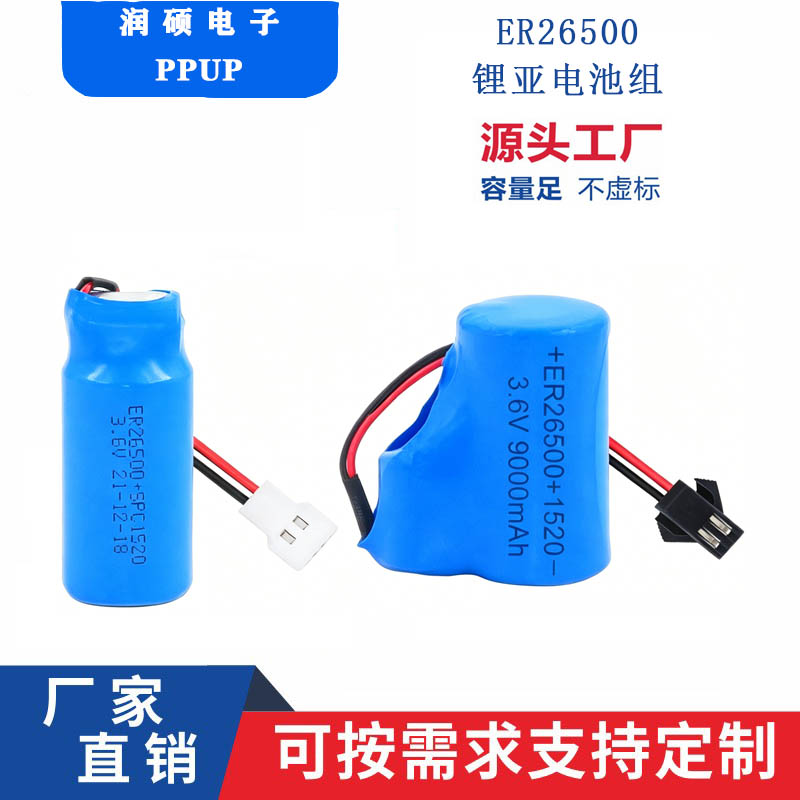 ER26500+SPC1520燃气表流量计