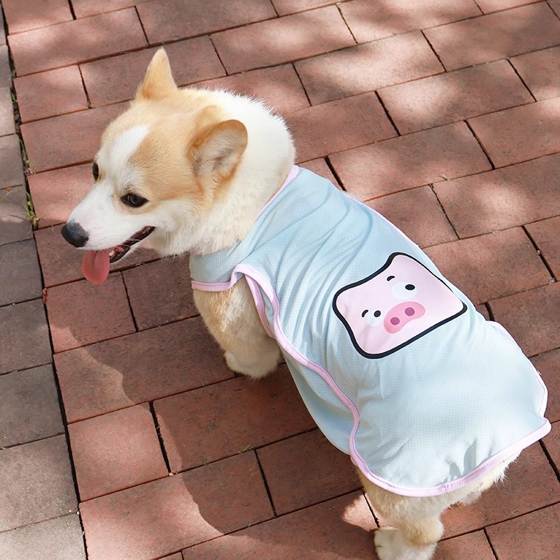 柯基柴犬腊肠比熊狗狗衣服春夏天薄款凉凉衣防晒防掉毛防脏网背心