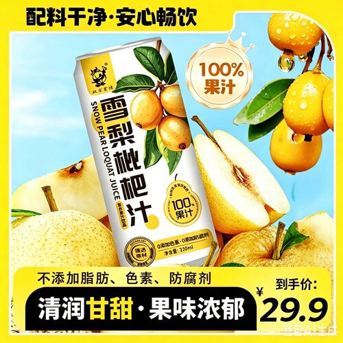 双方有情100%复合果汁雪梨枇杷汁浓缩果汁220ml*10罐果汁饮品饮料