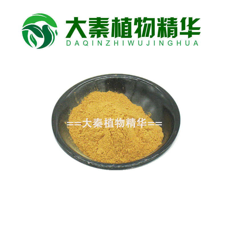 冬瓜子提取物 水溶性冬瓜籽提取浓缩粉末 专业植物提取物30:1