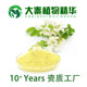 槲皮素98% 槐米提取物槲皮素粉正品 二氢槲皮素肺部斛懈解皮素国产
