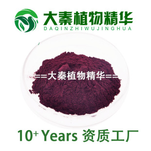 蓝莓花青素25% 水溶蓝莓汁冻干粉 提取物粉末 蓝莓提取物果粉