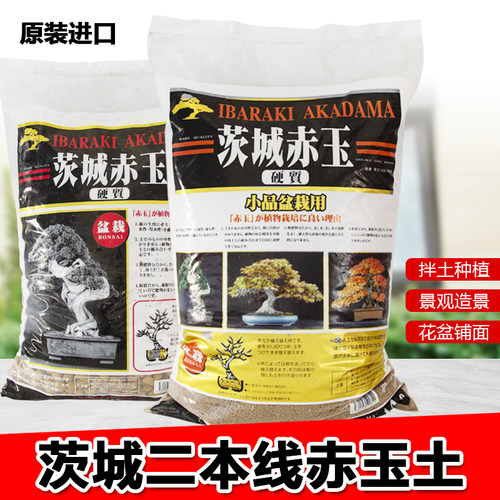 茨城通用进口二本线赤玉土多肉