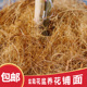 花盆铺面椰丝园艺养花盆栽多肉天然椰棕丝装 饰垫料椰糠丝纤维植料