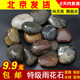 包邮 天然雨花石精品高抛光鹅卵石五彩石头装 饰铺地面鱼缸园艺盆景