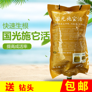 国光施它活大树营养液树木移栽吊针液植物生根液果树输液袋激活液