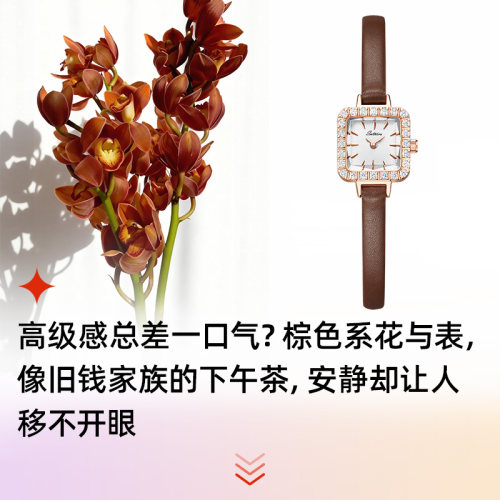 圣缇斯欧图小方糖女士腕表