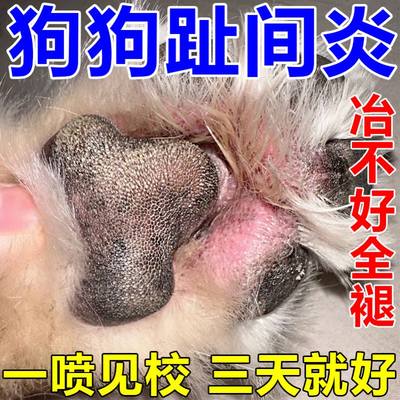 宠物趾间炎法斗消炎猫咪治疗爪子脚趾缝溃烂止痒流脓泰迪比熊药膏