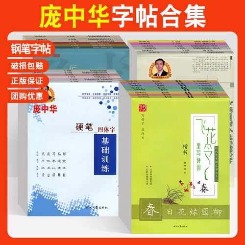 庞中华硬笔书法练字帖钢笔字帖